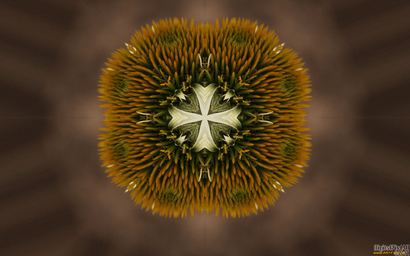 3, , fractal, 